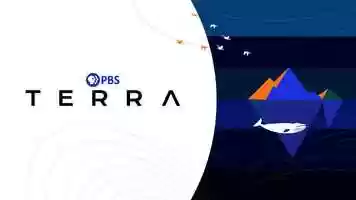Free download PBS: Terra video and edit with RedcoolMedia movie maker MovieStudio video editor online and AudioStudio audio editor onlin