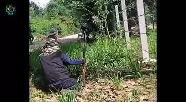 Free download PDF Demoso film fighting video and edit with RedcoolMedia movie maker MovieStudio video editor online and AudioStudio audio editor onlin