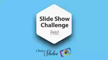 Free download Pet Challenge video and edit with RedcoolMedia movie maker MovieStudio video editor online and AudioStudio audio editor onlin