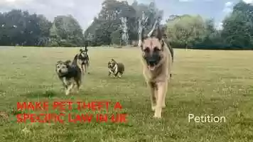 Free download Petition to Make Dog Theft a Crime video and edit with RedcoolMedia movie maker MovieStudio video editor online and AudioStudio audio editor onlin