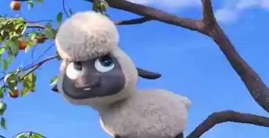 Free download Pets2 - Reel video and edit with RedcoolMedia movie maker MovieStudio video editor online and AudioStudio audio editor onlin