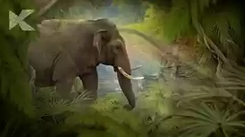 Free download Phileas Fogg - Jungle video and edit with RedcoolMedia movie maker MovieStudio video editor online and AudioStudio audio editor onlin