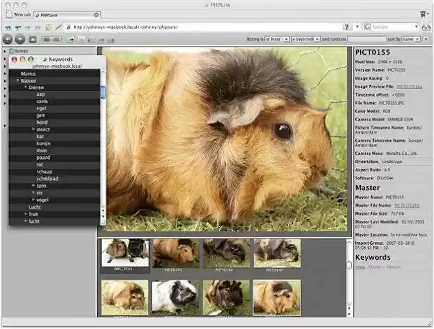 Download web tool or web app PHPture