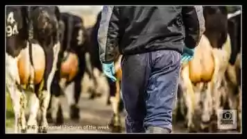 Free download Pictures of the week - 4th of April 2020 video and edit with RedcoolMedia movie maker MovieStudio video editor online and AudioStudio audio editor onlin