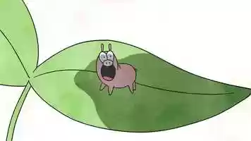 Free download Pig - LoopdeLoop Animation video and edit with RedcoolMedia movie maker MovieStudio video editor online and AudioStudio audio editor onlin