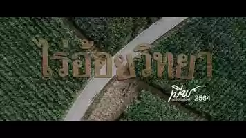 Free download PILOT Beer 2021 VER1 video and edit with RedcoolMedia movie maker MovieStudio video editor online and AudioStudio audio editor onlin