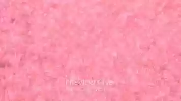 Free download Pink Movement video and edit with RedcoolMedia movie maker MovieStudio video editor online and AudioStudio audio editor onlin