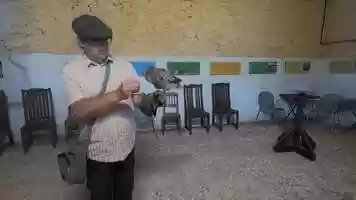 Free download Piptraining130621.mp4 video and edit with RedcoolMedia movie maker MovieStudio video editor online and AudioStudio audio editor onlin