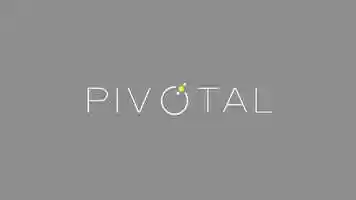 Free download Pivotal Mentorship Level 1 video and edit with RedcoolMedia movie maker MovieStudio video editor online and AudioStudio audio editor onlin