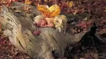 Free download Pixies video and edit with RedcoolMedia movie maker MovieStudio video editor online and AudioStudio audio editor onlin