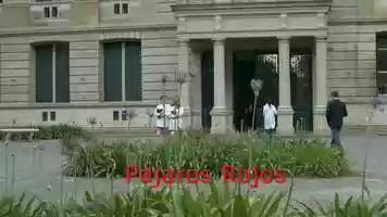 Free download Pjaros Rojos - avance video and edit with RedcoolMedia movie maker MovieStudio video editor online and AudioStudio audio editor onlin