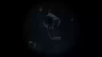 Free download Plankton Animation 1 video and edit with RedcoolMedia movie maker MovieStudio video editor online and AudioStudio audio editor onlin