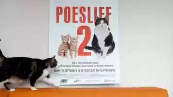 Free download Poeslief 2 trailer video and edit with RedcoolMedia movie maker MovieStudio video editor online and AudioStudio audio editor onlin