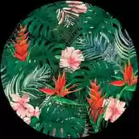 Free download Pomme Chan/ Tiger Animation video and edit with RedcoolMedia movie maker MovieStudio video editor online and AudioStudio audio editor onlin