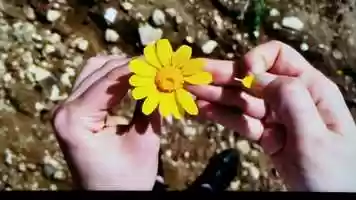 Free download Post-Materialist-Science video and edit with RedcoolMedia movie maker MovieStudio video editor online and AudioStudio audio editor onlin