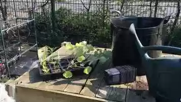 Free download Potting On Seedlings video and edit with RedcoolMedia movie maker MovieStudio video editor online and AudioStudio audio editor onlin