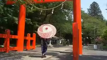 Free download 祈りを捧ぐ Pray in Shrine video and edit with RedcoolMedia movie maker MovieStudio video editor online and AudioStudio audio editor onlin