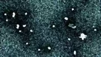 Free download Price of a Pixel video and edit with RedcoolMedia movie maker MovieStudio video editor online and AudioStudio audio editor onlin