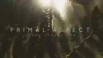 Free download Primal Aspect / Stories to Evolve video and edit with RedcoolMedia movie maker MovieStudio video editor online and AudioStudio audio editor onlin