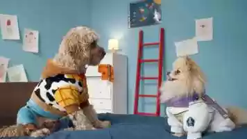 Free download Primark / Dog Story video and edit with RedcoolMedia movie maker MovieStudio video editor online and AudioStudio audio editor onlin