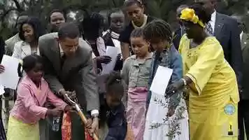 Free download Professor Wangari Maathai video and edit with RedcoolMedia movie maker MovieStudio video editor online and AudioStudio audio editor onlin