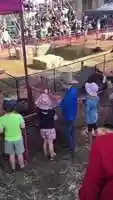 Free download Proston Pig Races 2020 video and edit with RedcoolMedia movie maker MovieStudio video editor online and AudioStudio audio editor onlin