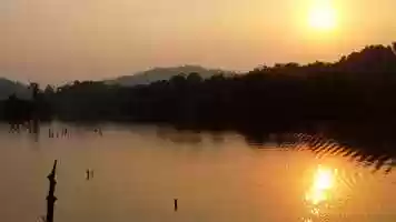 Free download Protecting Myanmars Forests by Town and Country Films video and edit with RedcoolMedia movie maker MovieStudio video editor online and AudioStudio audio editor onlin