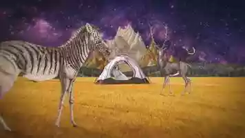 Free download Proyecto Collage Animado video and edit with RedcoolMedia movie maker MovieStudio video editor online and AudioStudio audio editor onlin