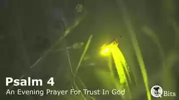 Free download Psalm 4 - In English and Spanish video and edit with RedcoolMedia movie maker MovieStudio video editor online and AudioStudio audio editor onlin