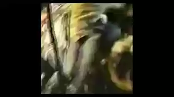 Free download PUNK_Everyone knows video and edit with RedcoolMedia movie maker MovieStudio video editor online and AudioStudio audio editor onlin