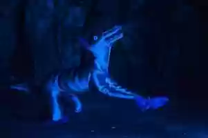 Free download Puppy Animation Part 2 video and edit with RedcoolMedia movie maker MovieStudio video editor online and AudioStudio audio editor onlin