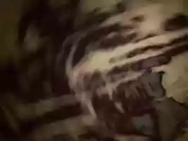 Free download Purple and White Action Carpet Dance #8 video and edit with RedcoolMedia movie maker MovieStudio video editor online and AudioStudio audio editor onlin