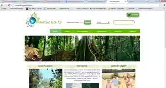 Download web tool or web app Q MLM software Download web tool or web app Q MLM software