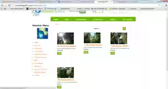 Download web tool or web app Q MLM software Download web tool or web app Q MLM software