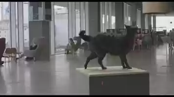 Free download Quadruped Project_The Animation Workshop 2019 video and edit with RedcoolMedia movie maker MovieStudio video editor online and AudioStudio audio editor onlin