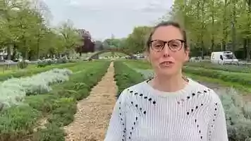 Free download Questionnaire on city-to-city learning video and edit with RedcoolMedia movie maker MovieStudio video editor online and AudioStudio audio editor onlin