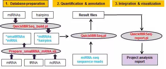 Download web tool or web app QuickMIRSeq