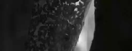 Free download Rachael and Craigs trailer video and edit with RedcoolMedia movie maker MovieStudio video editor online and AudioStudio audio editor onlin