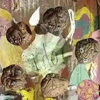 Free download rain/ real mushrooms video and edit with RedcoolMedia movie maker MovieStudio video editor online and AudioStudio audio editor onlin