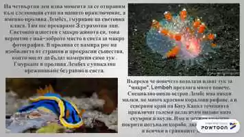 Free download Raja Ampat video and edit with RedcoolMedia movie maker MovieStudio video editor online and AudioStudio audio editor onlin