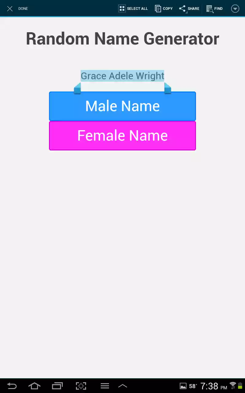 Download web tool or web app Random Name Generator