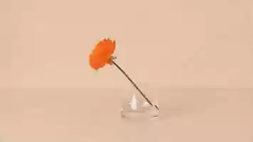 Free download Ranunculus says x xxx (January 5th, 2019) video and edit with RedcoolMedia movie maker MovieStudio video editor online and AudioStudio audio editor onlin