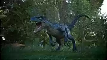 Free download Raptor World video and edit with RedcoolMedia movie maker MovieStudio video editor online and AudioStudio audio editor onlin