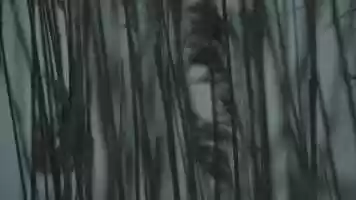 Free download Rauschen 1 video and edit with RedcoolMedia movie maker MovieStudio video editor online and AudioStudio audio editor onlin