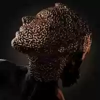 Free download Reaction_Diffusion video and edit with RedcoolMedia movie maker MovieStudio video editor online and AudioStudio audio editor onlin