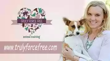 Free download Reactive Dog Rehabilitation Program Commercial video and edit with RedcoolMedia movie maker MovieStudio video editor online and AudioStudio audio editor onlin