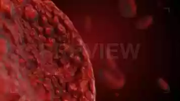 Free download Realistic Rendering Of Bacteria Stock Motion Graphics video and edit with RedcoolMedia movie maker MovieStudio video editor online and AudioStudio audio editor onlin
