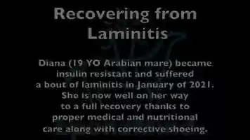 Free download Recovery From Laminitis video and edit with RedcoolMedia movie maker MovieStudio video editor online and AudioStudio audio editor onlin