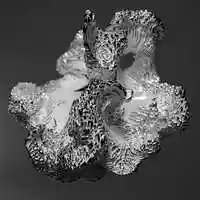 Free download Recursive Growth video and edit with RedcoolMedia movie maker MovieStudio video editor online and AudioStudio audio editor onlin