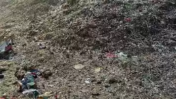 Free download Recycling video and edit with RedcoolMedia movie maker MovieStudio video editor online and AudioStudio audio editor onlin